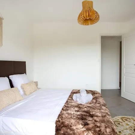 Apartman 4 Pieces 8 Personnes Proche Aeroport,tramway *