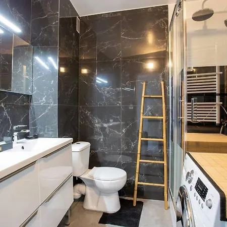 Apartman 4 Pieces 8 Personnes Proche Aeroport,tramway